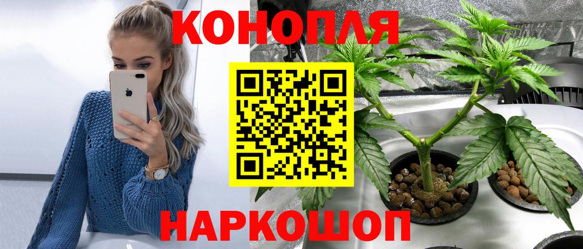 Бошки Шишки SATIVA & INDICA Малоярославец